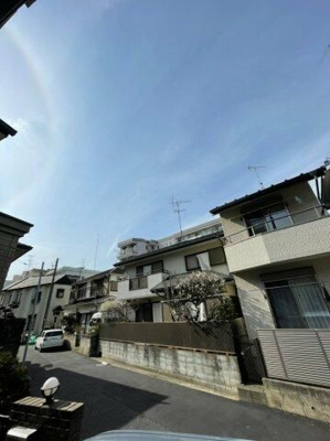 【展望】 | ガジュマル