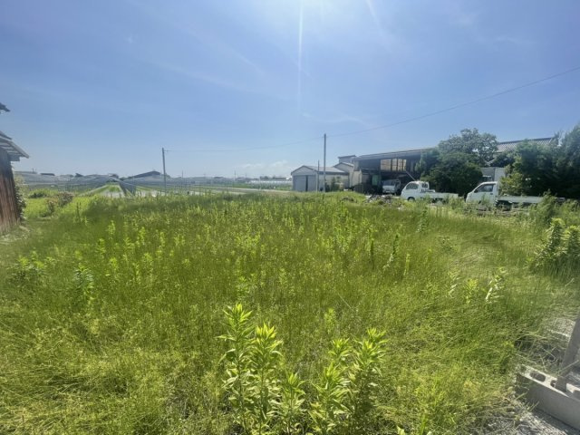 鏡町貝洲土地の外観