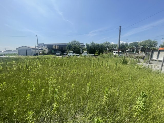 鏡町貝洲土地の外観