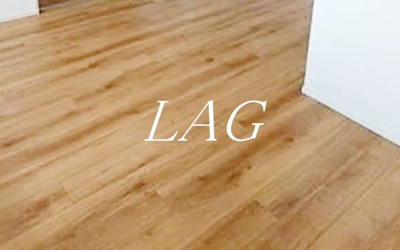 【居間・リビング】 | ＢＬＥＳＳ西巣鴨 | 洋室のお部屋です。