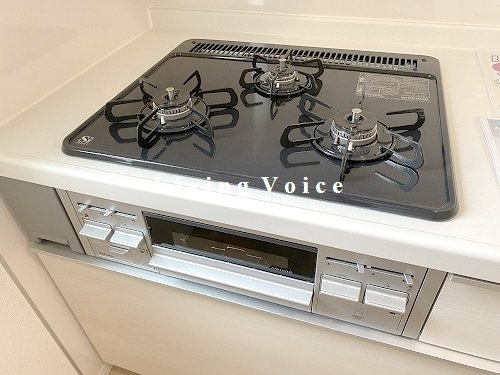 【その他】 | 【仲介手数料０円】平塚市田村第48　新築一戸建て　1号棟　全2棟 | 平塚市田村第48　新築一戸建て