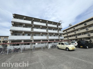 カサコモダ6の画像