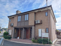 コスモス　Ａの画像