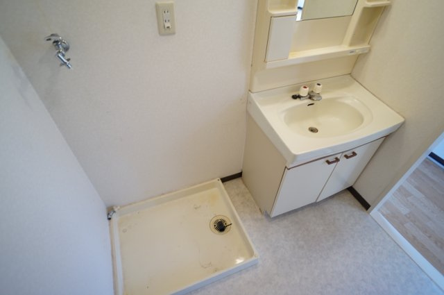 ロイヤルメゾン逆瀬川の洗面所