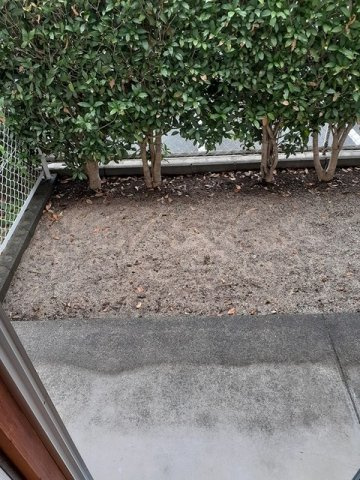 プラムハウスの庭|お庭が付いています