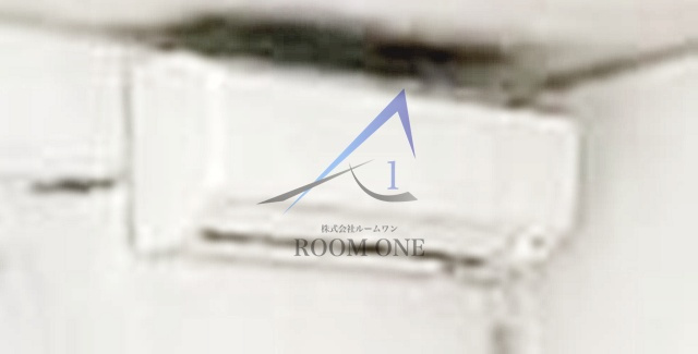 ＳＴＥＬＬＡのその他