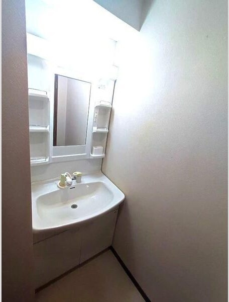 シェルブール・Nの洗面所