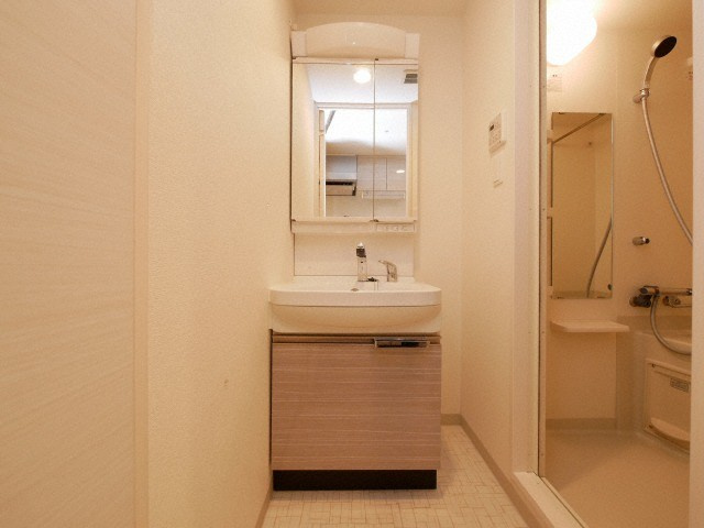 プレサンスＯＳＡＫＡ　ＤＯＭＥＣＩＴＹワンダの洗面所