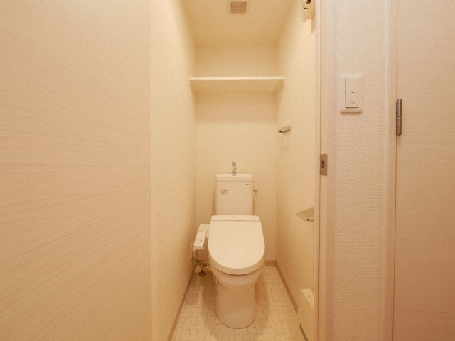 プレサンスＯＳＡＫＡ　ＤＯＭＥＣＩＴＹワンダのトイレ