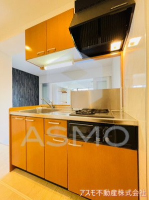 【キッチン】 | NORTH VILLAGE壱番館 | 同マンション別部屋参考写真