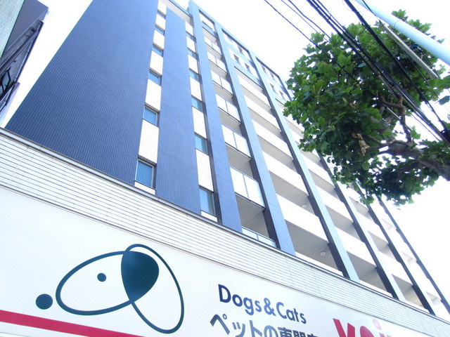 エリアＭの外観|高層マンションです