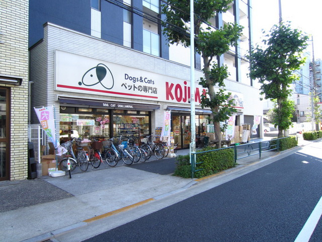 エリアＭのその他|１階はペットショップです