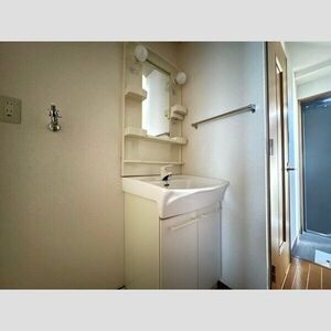 ハイツ味美の洗面所