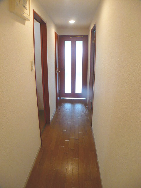 エコニシフタミのその他