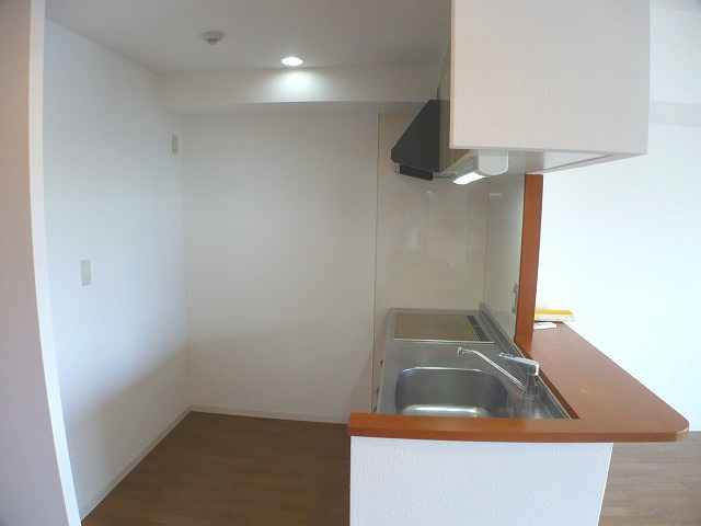 エコニシフタミのキッチン