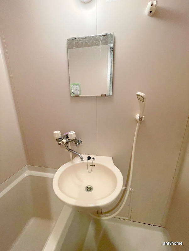 ハイツ・ドアーン　仲介手数料無料の洗面所