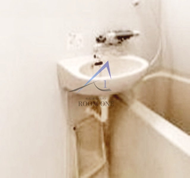 ＳＩＮ－Ｃｉｔｙ東陽町の洗面所|洗面台です。