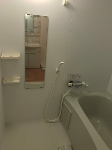 ドルチェ新町の浴室