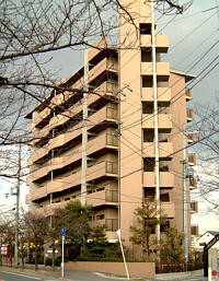 スピカ・リヴェルテ