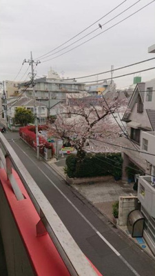 【展望】 | カンタ・ラーモ