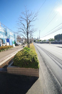 【前面道路含む現地写真】