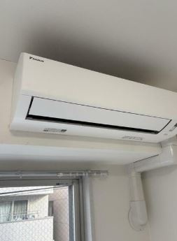 【その他】 | シュガール戸部