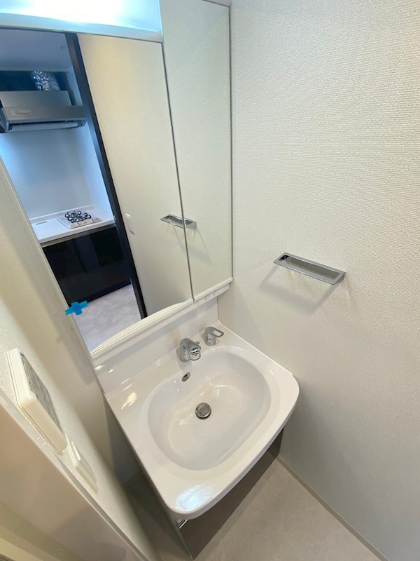 エステムコート大阪WESTⅡの洗面所