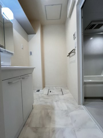 城陽市平川の賃貸マンションの洗面所