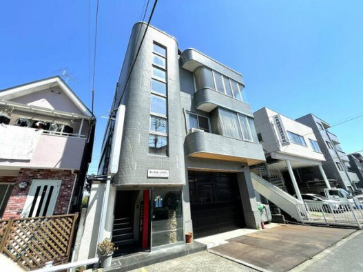 カースル・シライシの外観