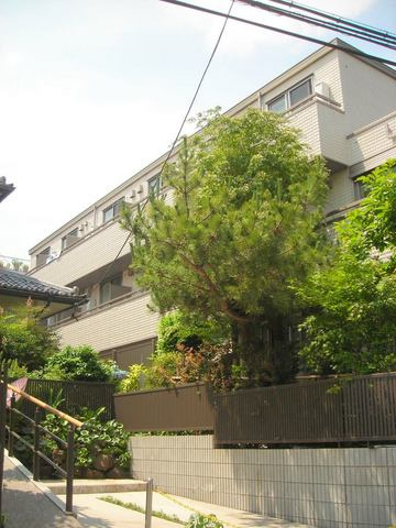 ＳＡＫＵＲＡの外観|閑静な住環境に佇む耐震耐火へーベルメゾン