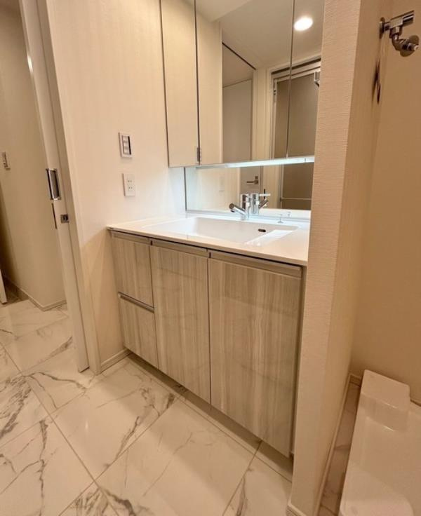 シティハウス巣鴨の洗面所