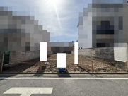 K12075-紫竹の画像