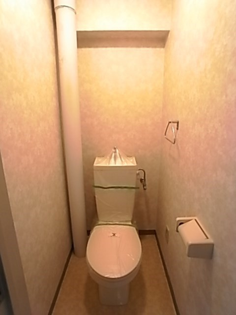 ハイネス生田のトイレ