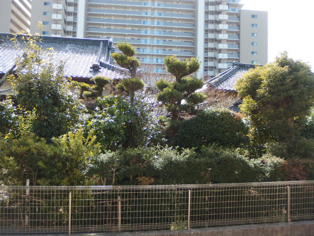 レスポワール　Ｂ棟の展望