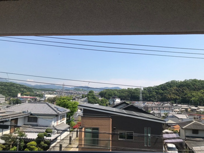 【展望】 | ホワイト ロートス