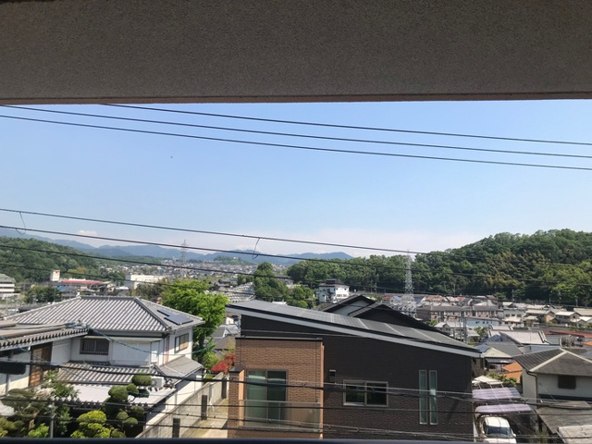 【展望】 | ホワイト ロートス