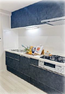 プリオーレ美山台壱番館のキッチン