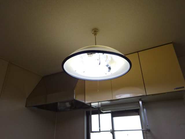 レシア西舞子のその他