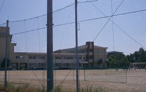 セントラルハイツの周辺|南部中学校まで600m