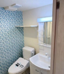 The Maris Court練馬（ザ　マリス　コート練馬）の洗面所