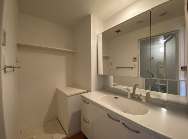 AZALEE　UEZONOの洗面所