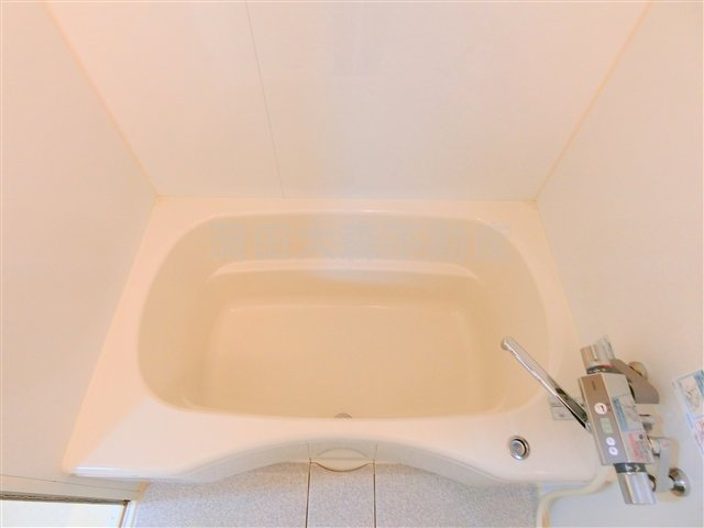 ライオンズマンション蒲田の浴室