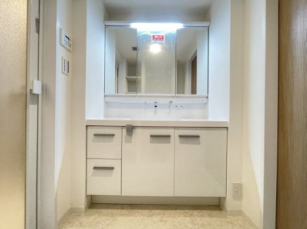パークスクエア宝塚フォレストタワーの独立洗面台|独立洗面台、小物を置くことができて便利です