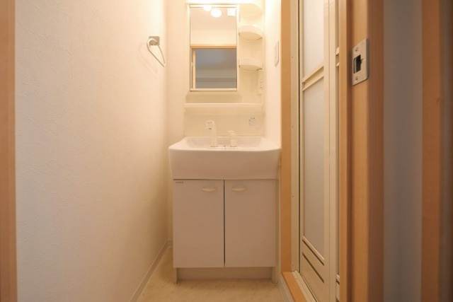 グランパシフィック難波元町の独立洗面台