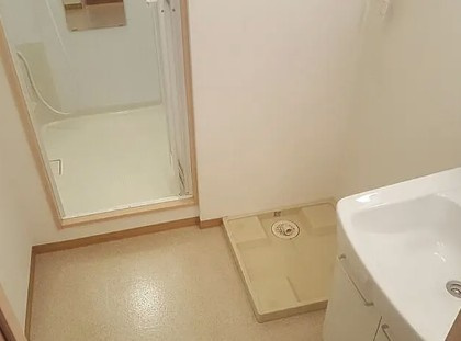 リバーサイド兼田の洗面所