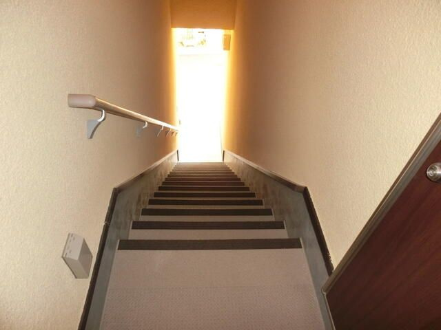 ＬＡＧＯ・ＴＥＫＡＰＯのその他