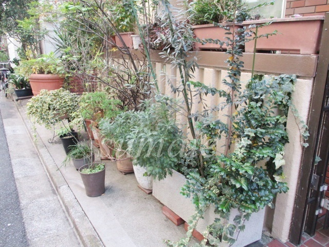 コスモプラザＨＩＮＯのその他|植栽です。