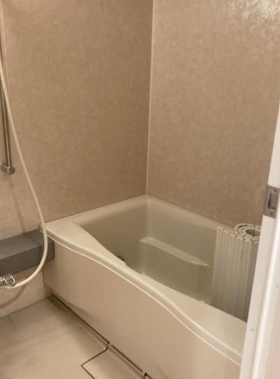 デュオ・スカーラ田端の浴室