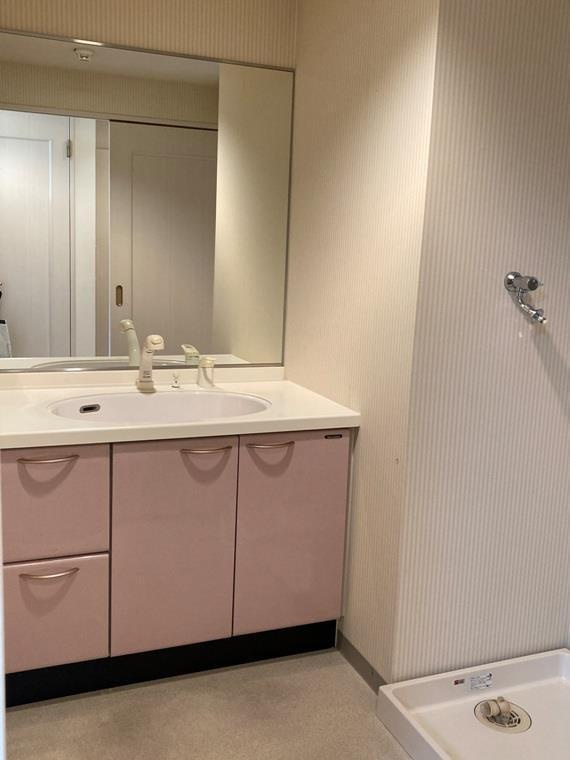 デュオ・スカーラ田端の洗面所