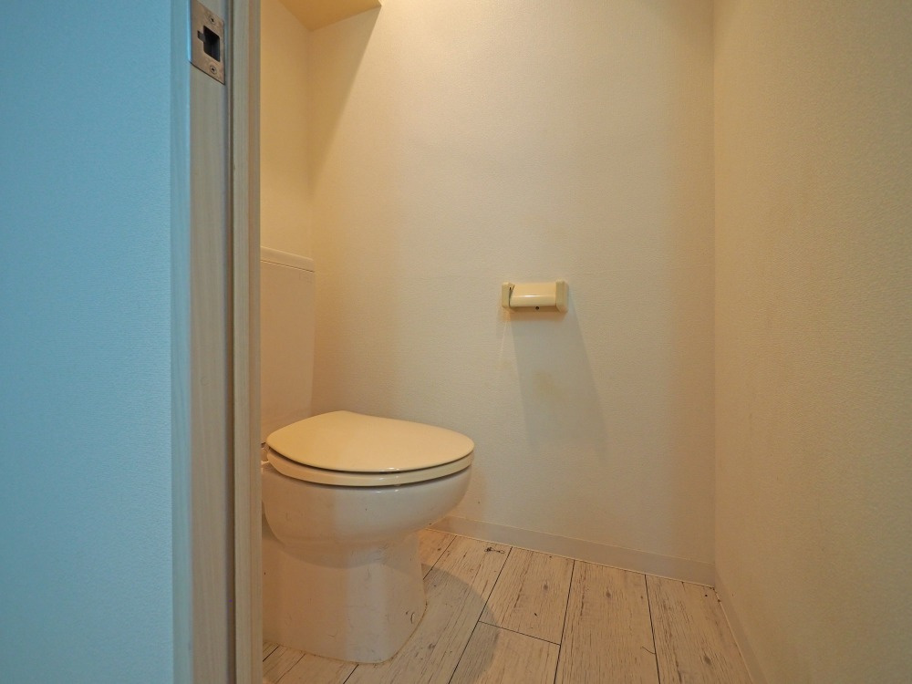 ドムール九条のトイレ